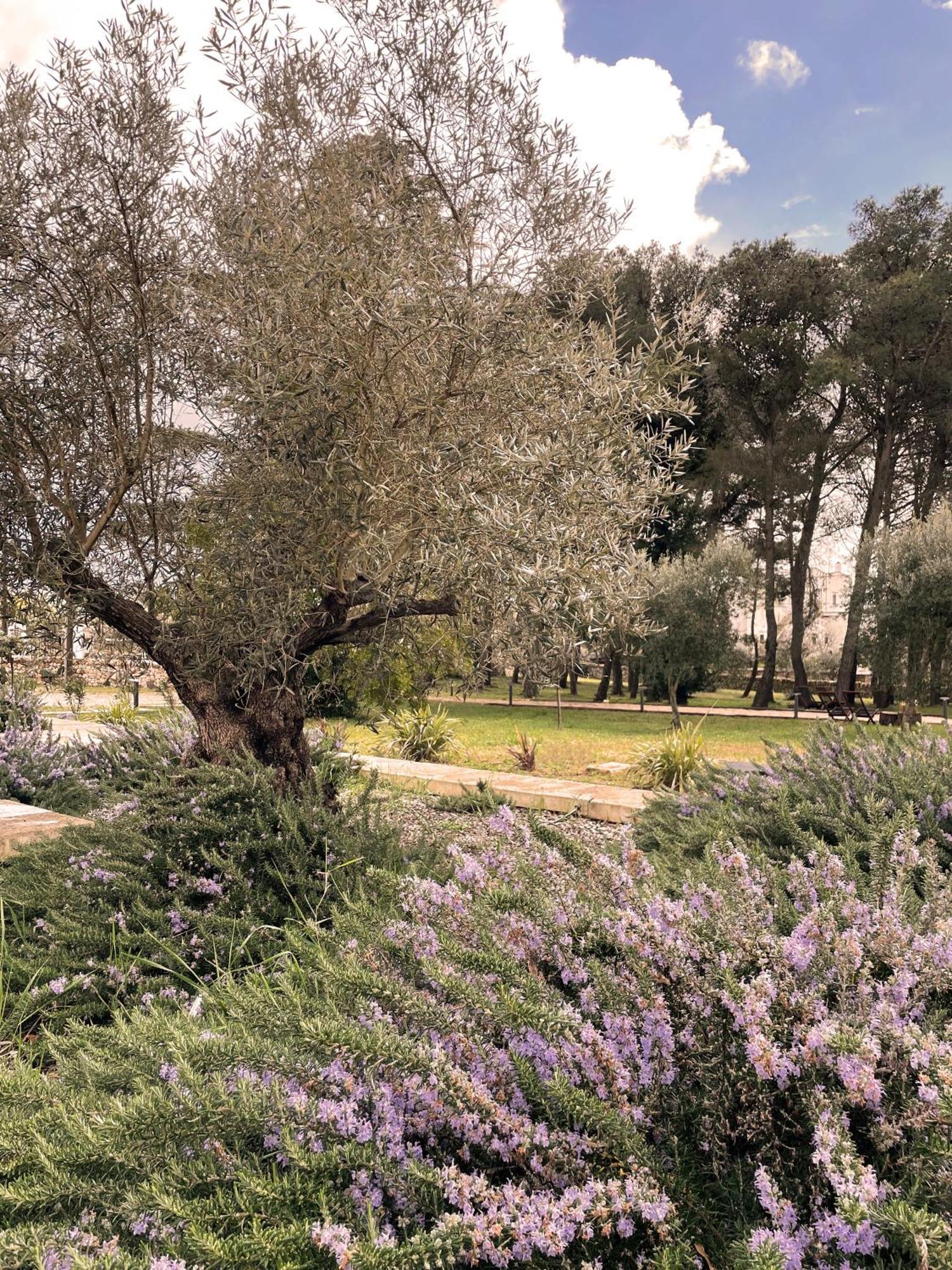 Trullo Panna Fragola - Exclusive Four Bedroom Villa & Private Pool Martina Franca Exterior photo