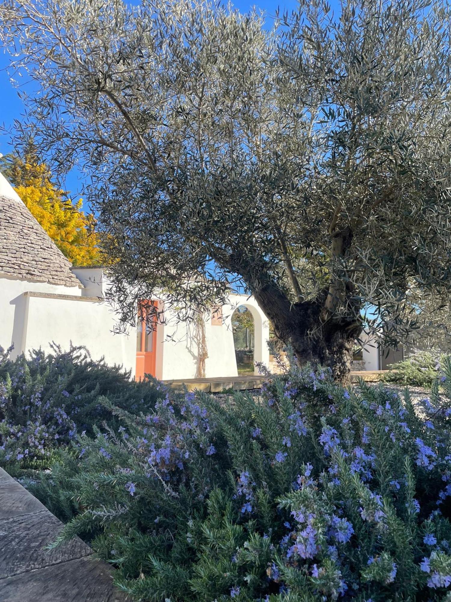Trullo Panna Fragola - Exclusive Four Bedroom Villa & Private Pool Martina Franca Exterior photo